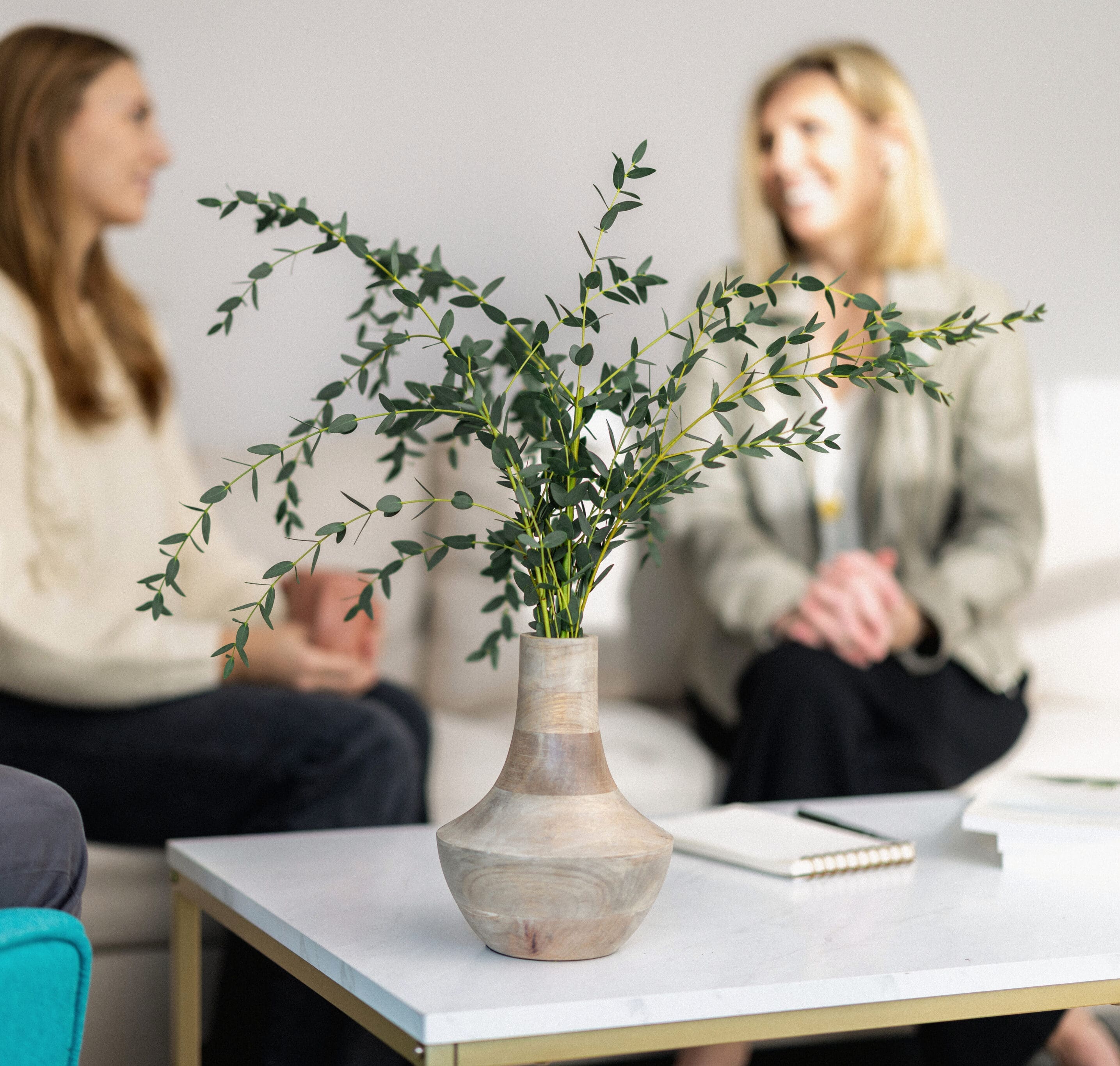 Elisabeth Tullis Schneider in conversation with a client, seated on a sofa beside a leafy branch arrangement