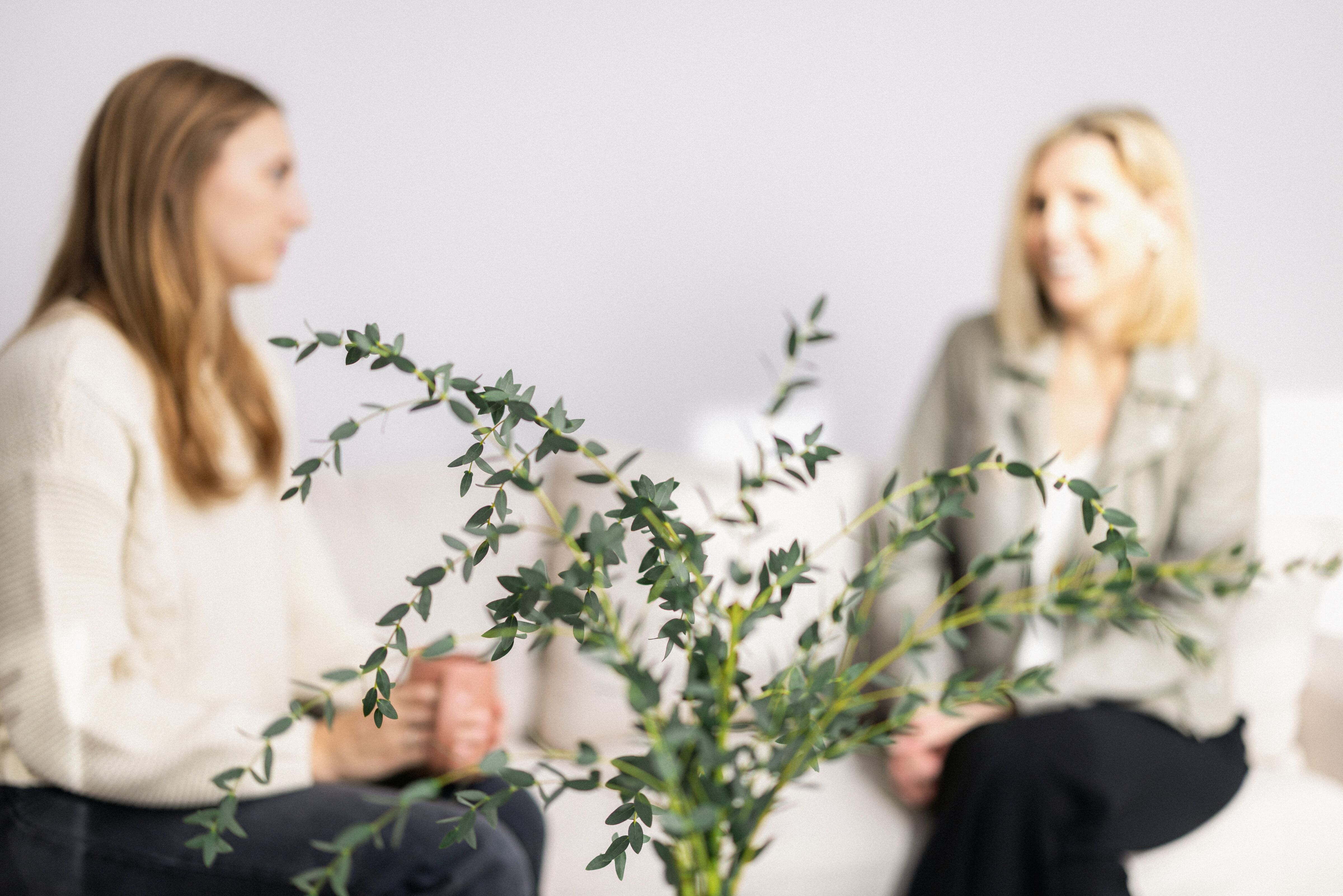 Elisabeth Tullis Schneider in conversation with a client, seated on a sofa beside a leafy branch arrangement