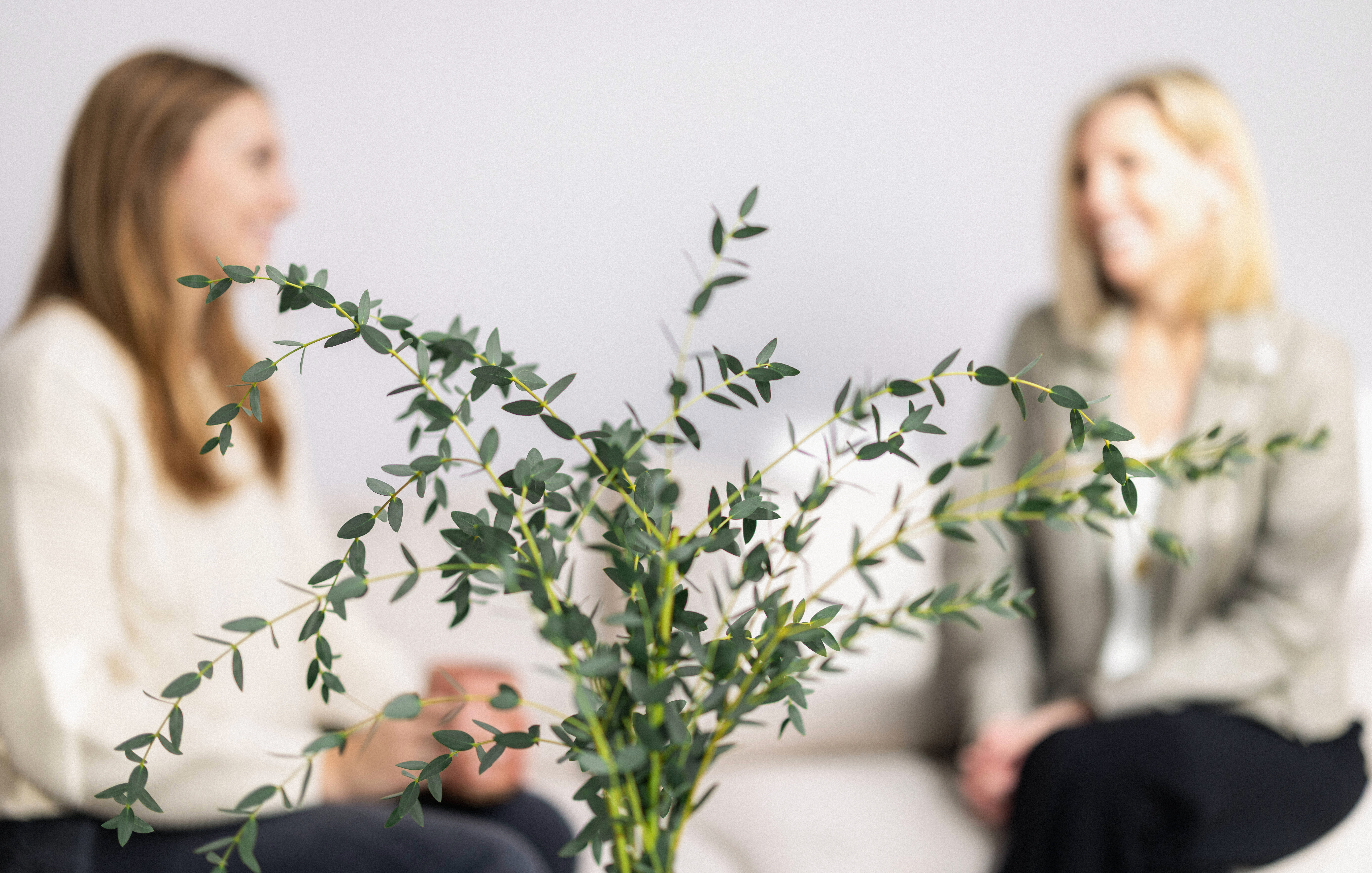 Elisabeth Tullis Schneider in conversation with a client, seated on a sofa beside a leafy branch arrangement